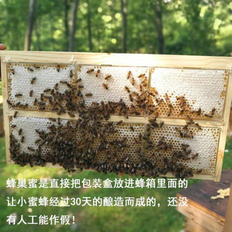 正品蜂巢蜜500克农家自产百花土蜂蜜天然盒装蜂蜜正宗蜂巢