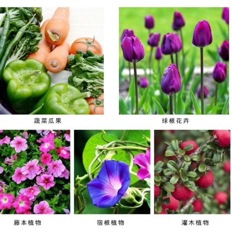 加厚育苗盆双色花盆营养钵育苗袋营养杯塑料简易一次性花盆种