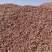 玉米芯，现货200吨，霉变小于等于1，水份15，杂质1