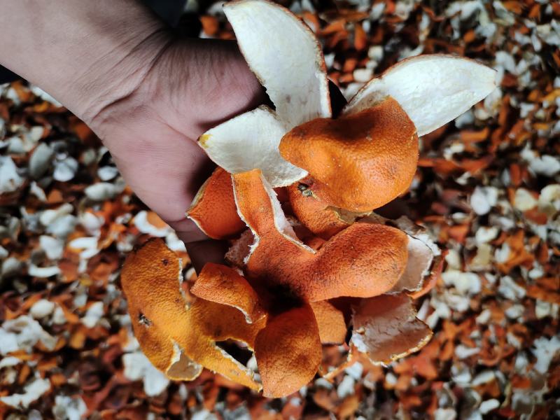 正宗新鲜一手新陈皮，经济便宜又实惠，大堆货有需要的联系。