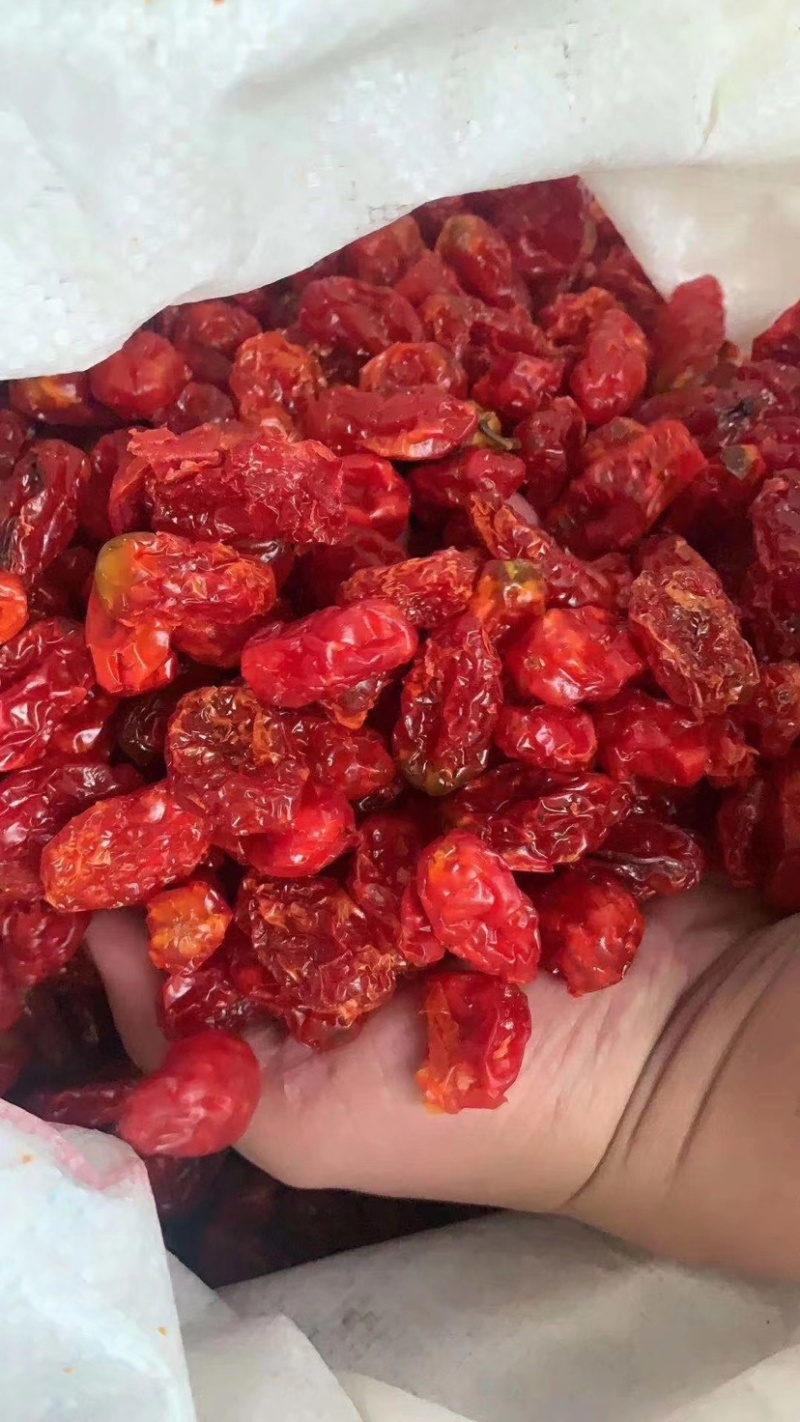 小蕃茄干，圣女果干果脯，一手货源批发，产地一手货源，，