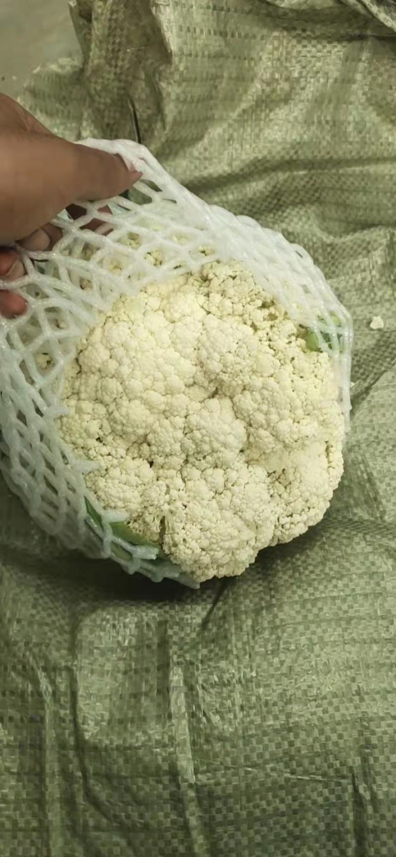 有机花菜，货源充足，产地直供，欢迎进店选购