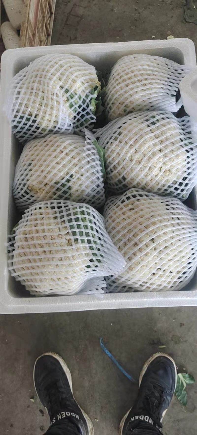 有机花菜，货源充足，产地直供，欢迎进店选购