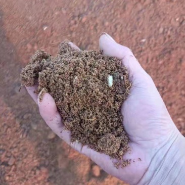 苹果渣，脱水苹果渣，养殖直接投喂，降低成本