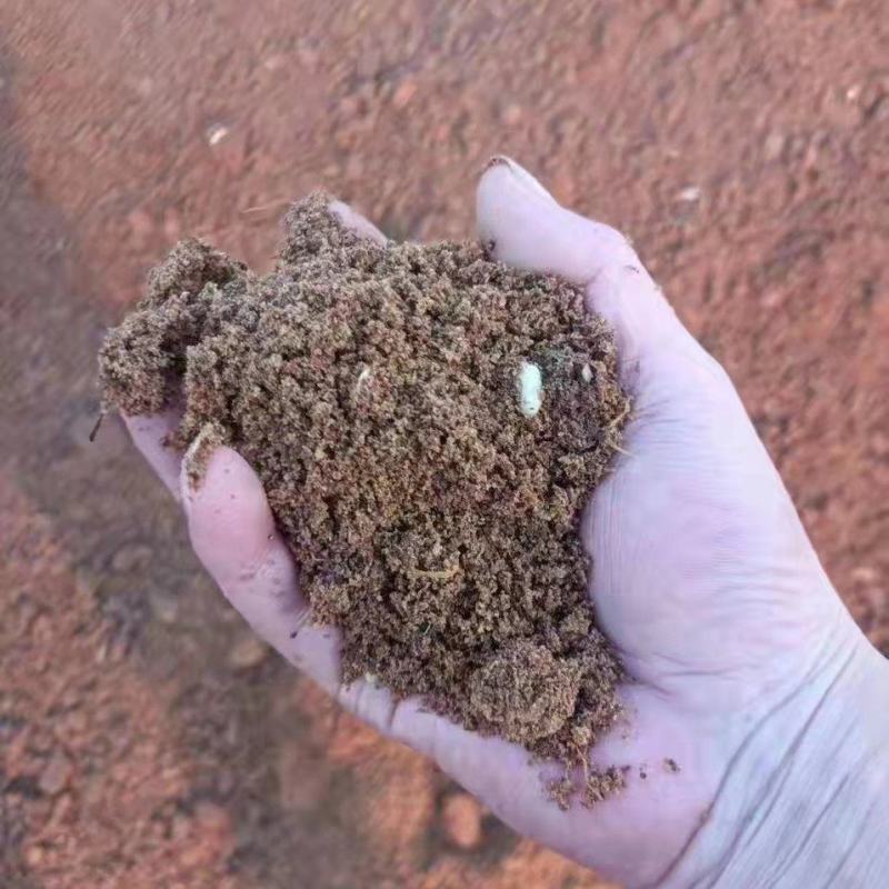 苹果渣，脱水苹果渣，养殖直接投喂，降低成本