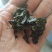 地皮菜。野生地皮菜。水洗地皮菜。
