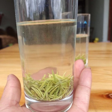 高山绿茶毛尖！