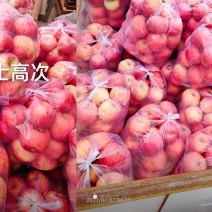 红富士苹果