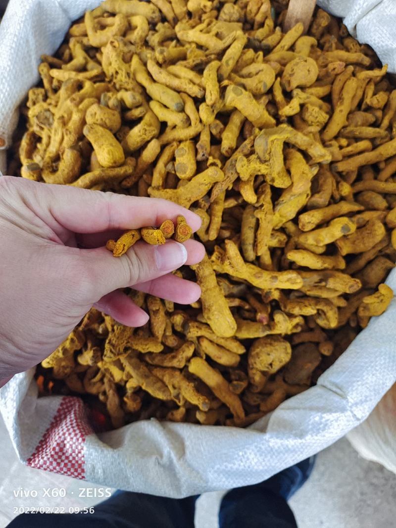 姜黄，中药材姜黄，批发零售，产地一手货源价格实惠