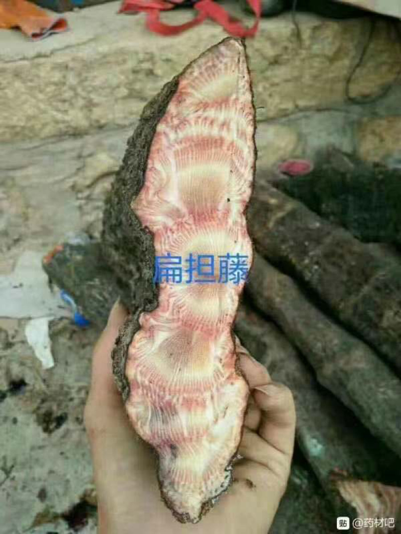 大山根子砍砍药，鸡血藤，20多个单品，支持选品种，