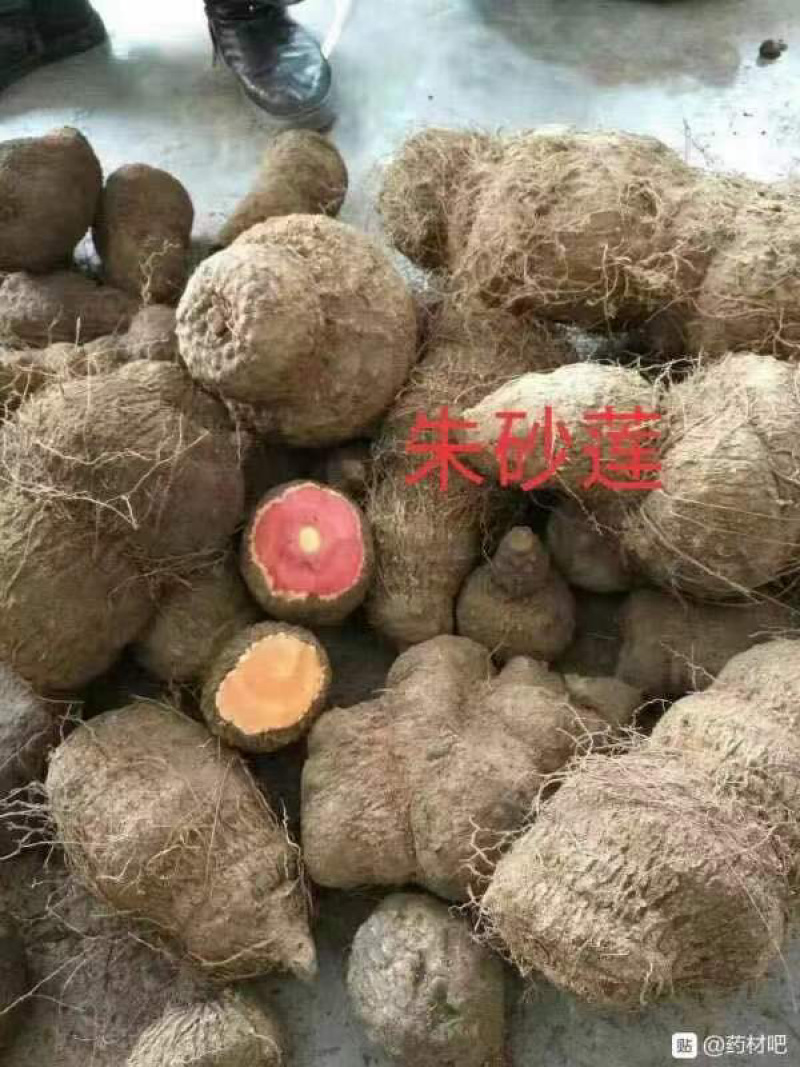 大山根子砍砍药，鸡血藤，20多个单品，支持选品种，