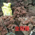 大山根子砍砍药，鸡血藤，20多个单品，支持选品种，