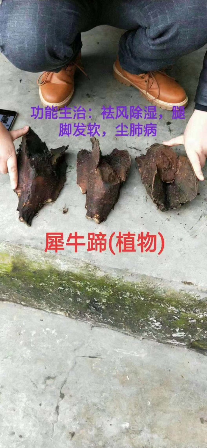 大山根子砍砍药，鸡血藤，20多个单品，支持选品种，