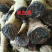 大山根子砍砍药，鸡血藤，20多个单品，支持选品种，