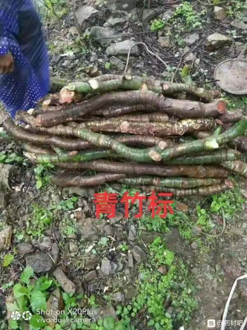 大山根子砍砍药，鸡血藤，20多个单品，支持选品种，