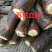大山根子砍砍药，鸡血藤，20多个单品，支持选品种，