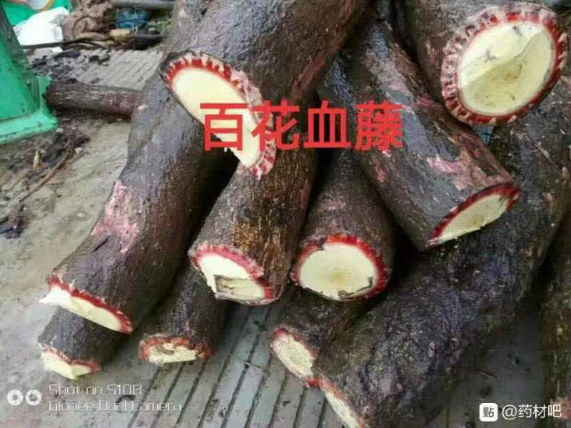 大山根子砍砍药，鸡血藤，20多个单品，支持选品种，