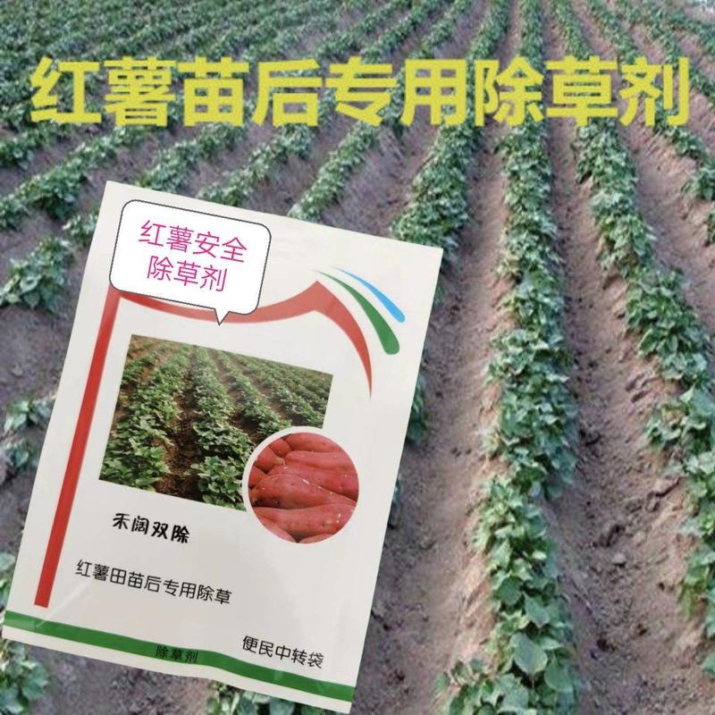 红薯除草剂10%精喹禾灵红薯番薯田苗后安全除草剂