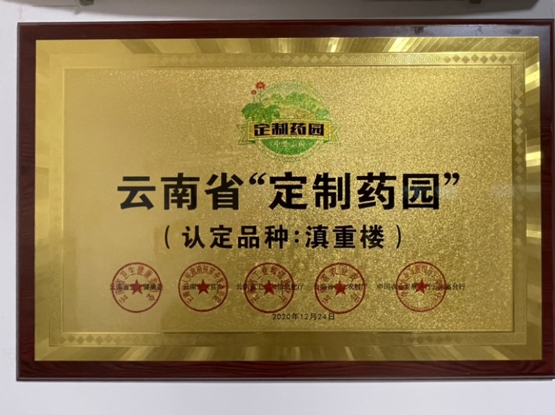 【精品推荐】重楼云南滇重楼粉质重楼干货含量高滇重楼