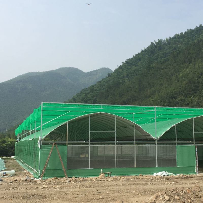 实力大棚膜养殖绿白膜种植菌棚隔热抗老化3-5年