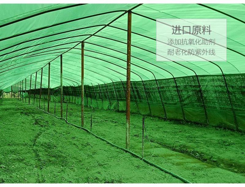实力大棚膜养殖绿白膜种植菌棚隔热抗老化3-5年