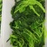 新鲜野苋菜银银菜绿苋菜野生人汉菜冻品