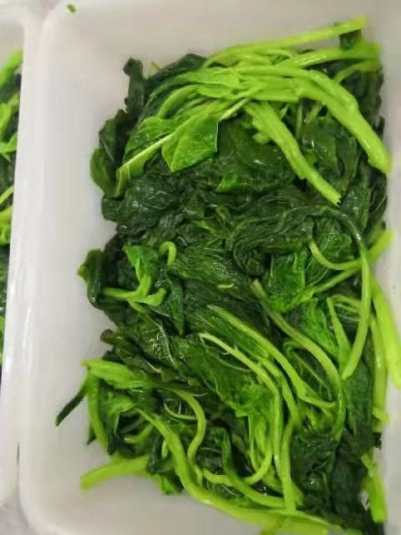 新鲜野苋菜银银菜绿苋菜野生人汉菜冻品