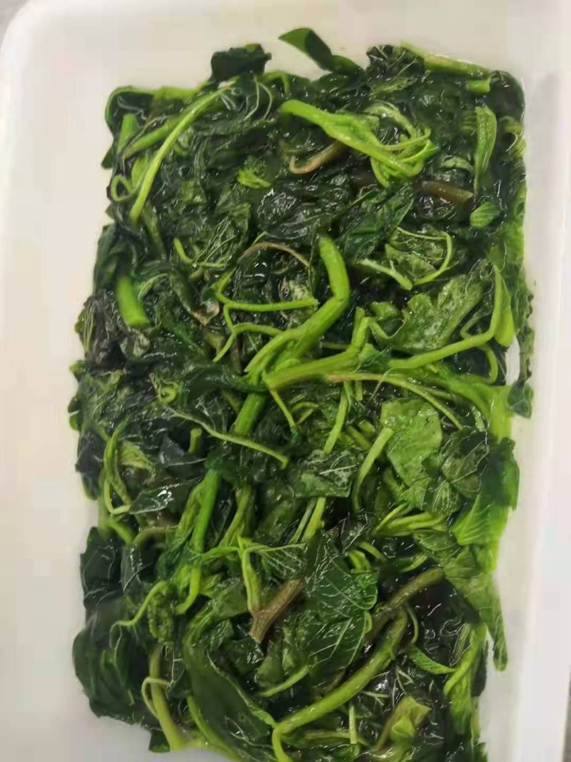 新鲜野苋菜银银菜绿苋菜野生人汉菜冻品