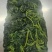 新鲜野苋菜银银菜绿苋菜野生人汉菜冻品