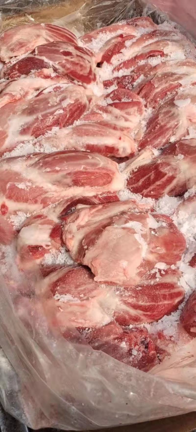 母猪后腱