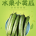 水果小黄瓜，支持商超，档口，海底捞，电商一斤带发。