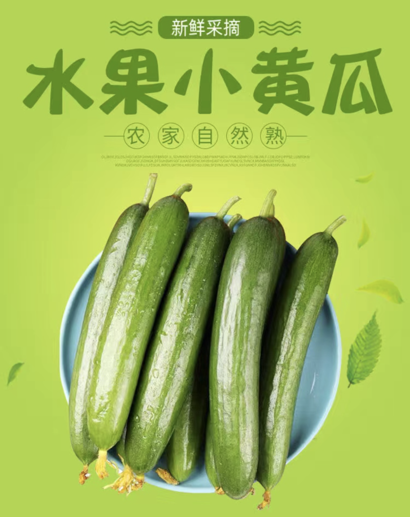 水果小黄瓜，支持商超，档口，海底捞，电商一斤带发。