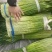 蒜薹