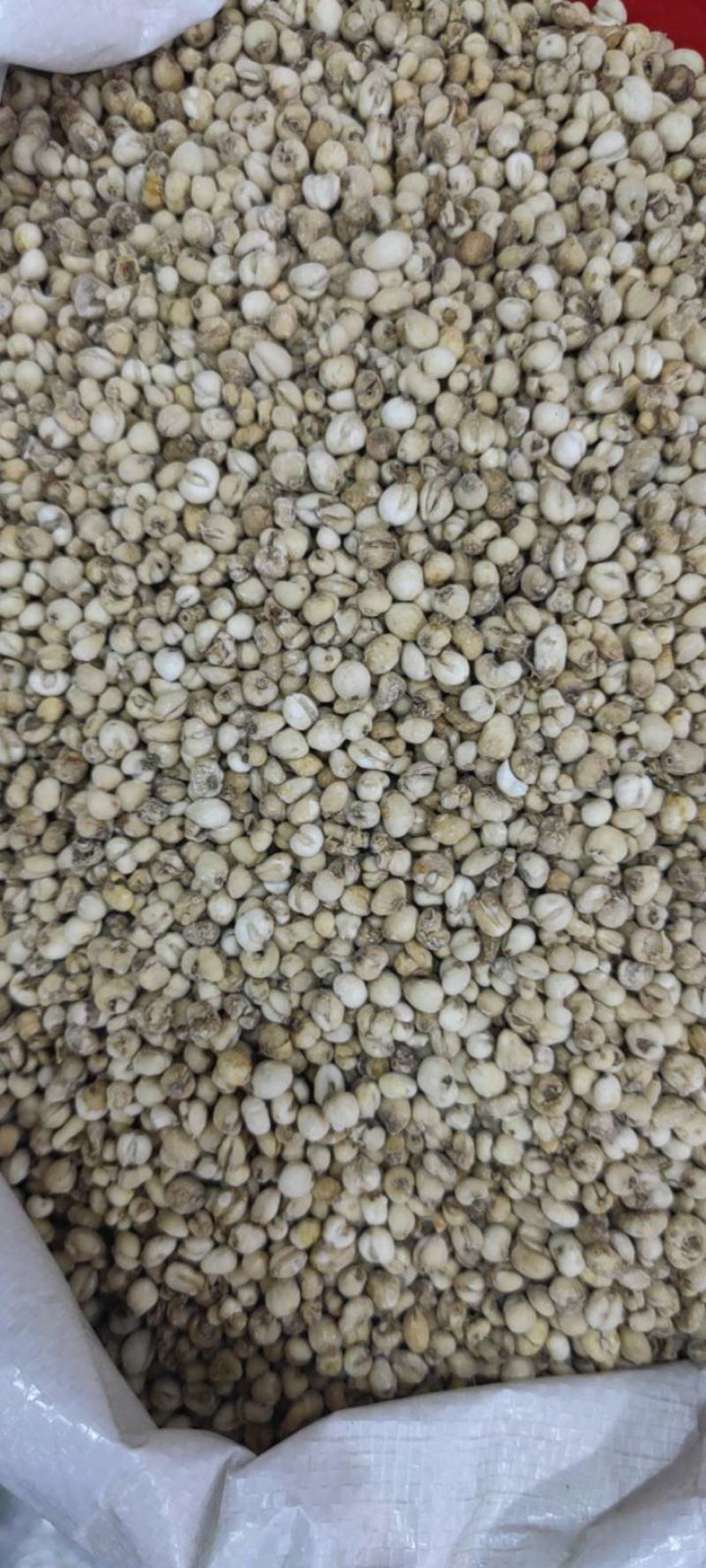 蒺藜刺蒺藜净货各种籽药新货各种中药材