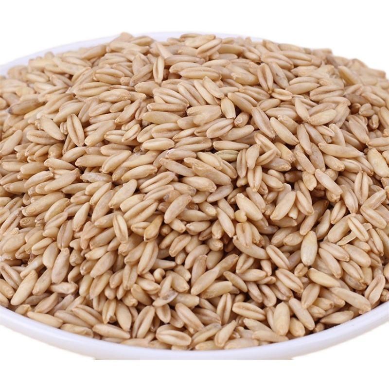 燕麦米，新燕麦米，国产燕麦米，进口燕麦米。