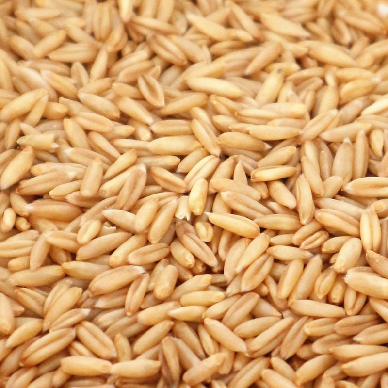 燕麦米，新燕麦米，国产燕麦米，进口燕麦米。