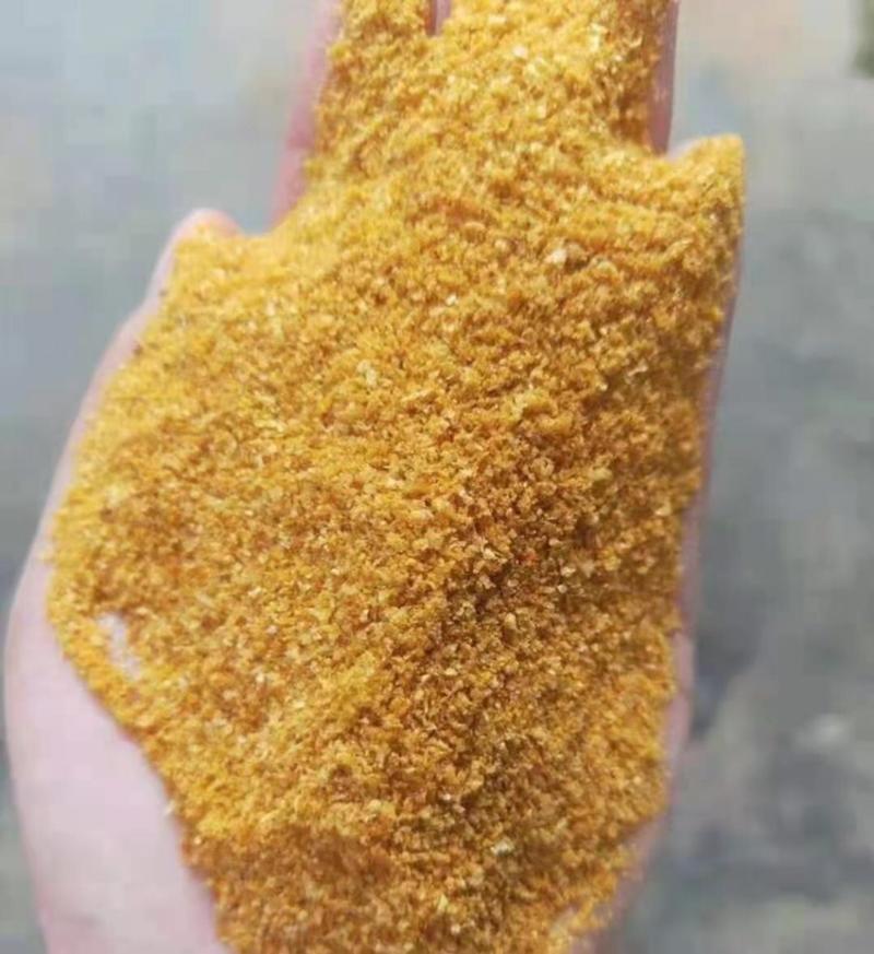 DDGS玉米酒糟可代替豆粕玉米鱼粉富含粗纤维