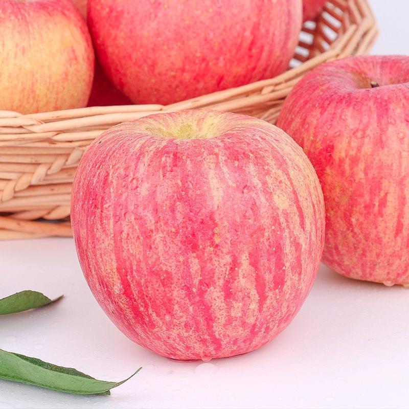 【苹果】山东临沂精品红富士苹果脆甜多汁欢迎采购