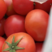 【优选】普罗旺斯，硬粉西红柿产地直供，爽口清脆，酸甜口