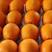 精品伦晚脐橙，产地直销，货源充足，保质保量，随行就市！