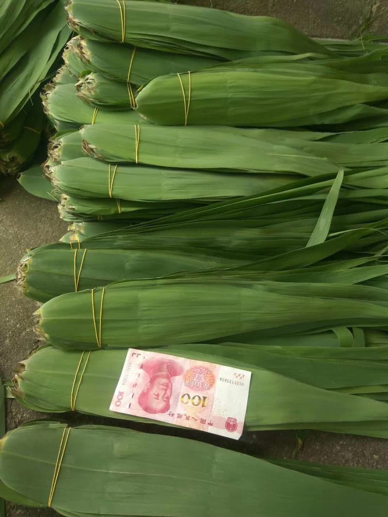 专业代理，代销苇叶，面向全国销售苇叶旳经销商，超市等。