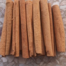 广西玉林去皮正品烟桂桂皮8cm诚信经验价格美丽