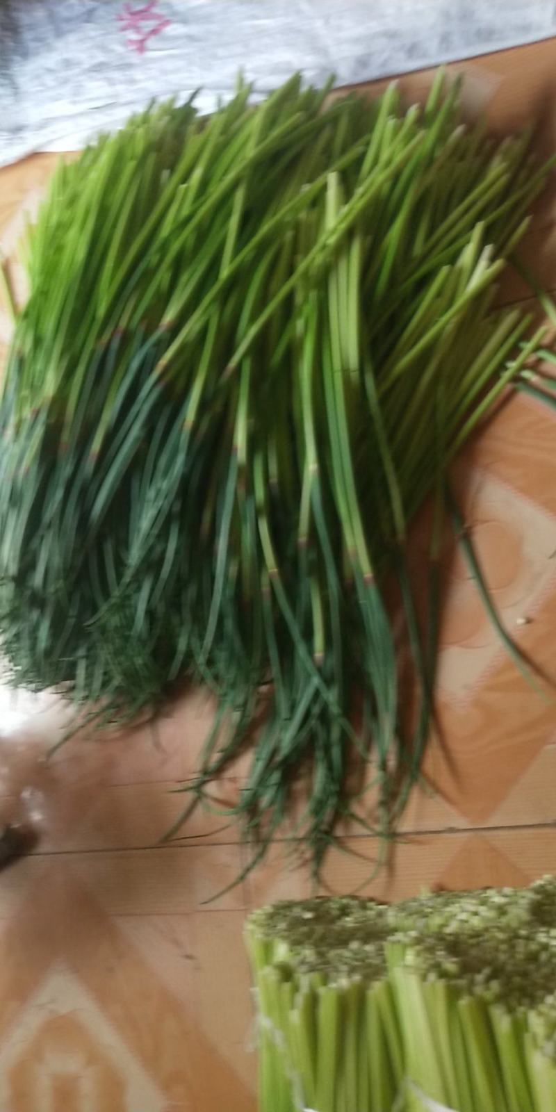 红帽蒜薹