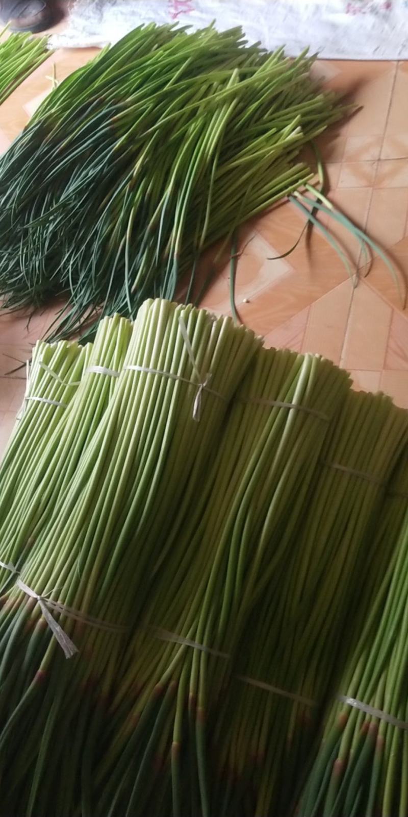 红帽蒜薹