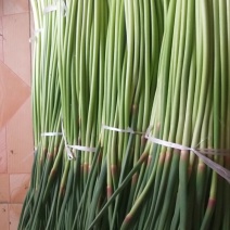 红帽蒜薹