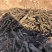 梨树木材梨木圆木烧柴锯末子木炭树枝枝吖