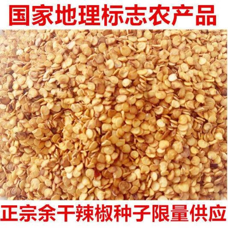 江西特产余干辣椒苗秧丰收辣椒籽种枫树辣椒种子薄皮小辣椒苗