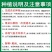 江西特产余干辣椒苗秧丰收辣椒籽种枫树辣椒种子薄皮小辣椒苗