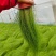 细茎针茅墨西哥羽毛草基地直发质量保证欢迎实地考察