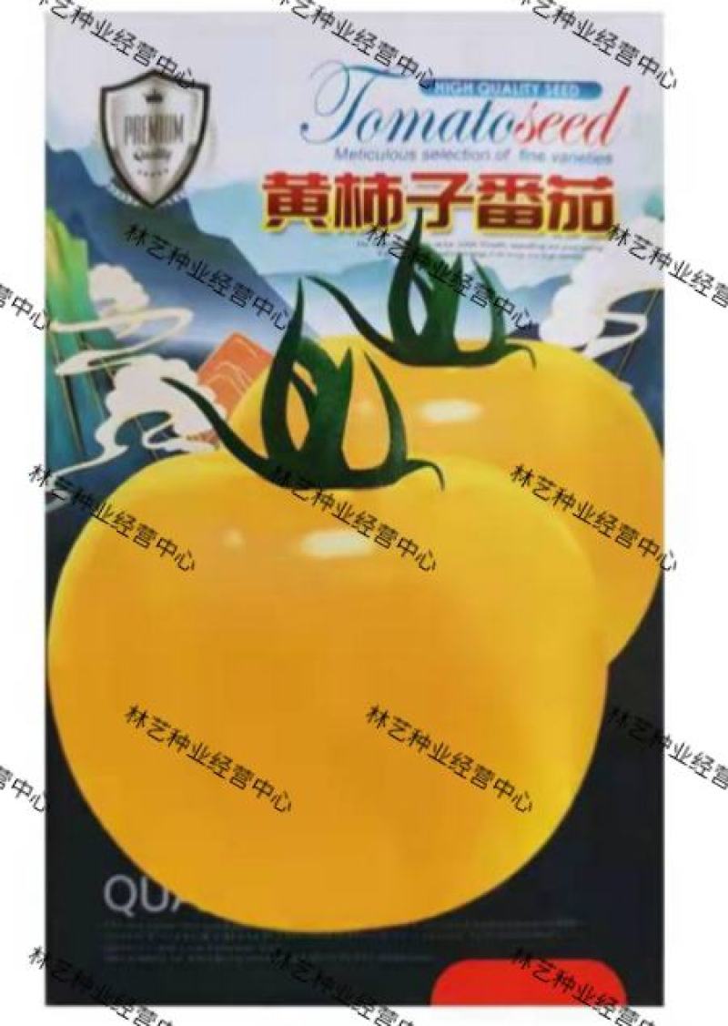 黄贵妃番茄种子东北大黄柿子种籽黄色西红柿种孑大果春季蔬菜